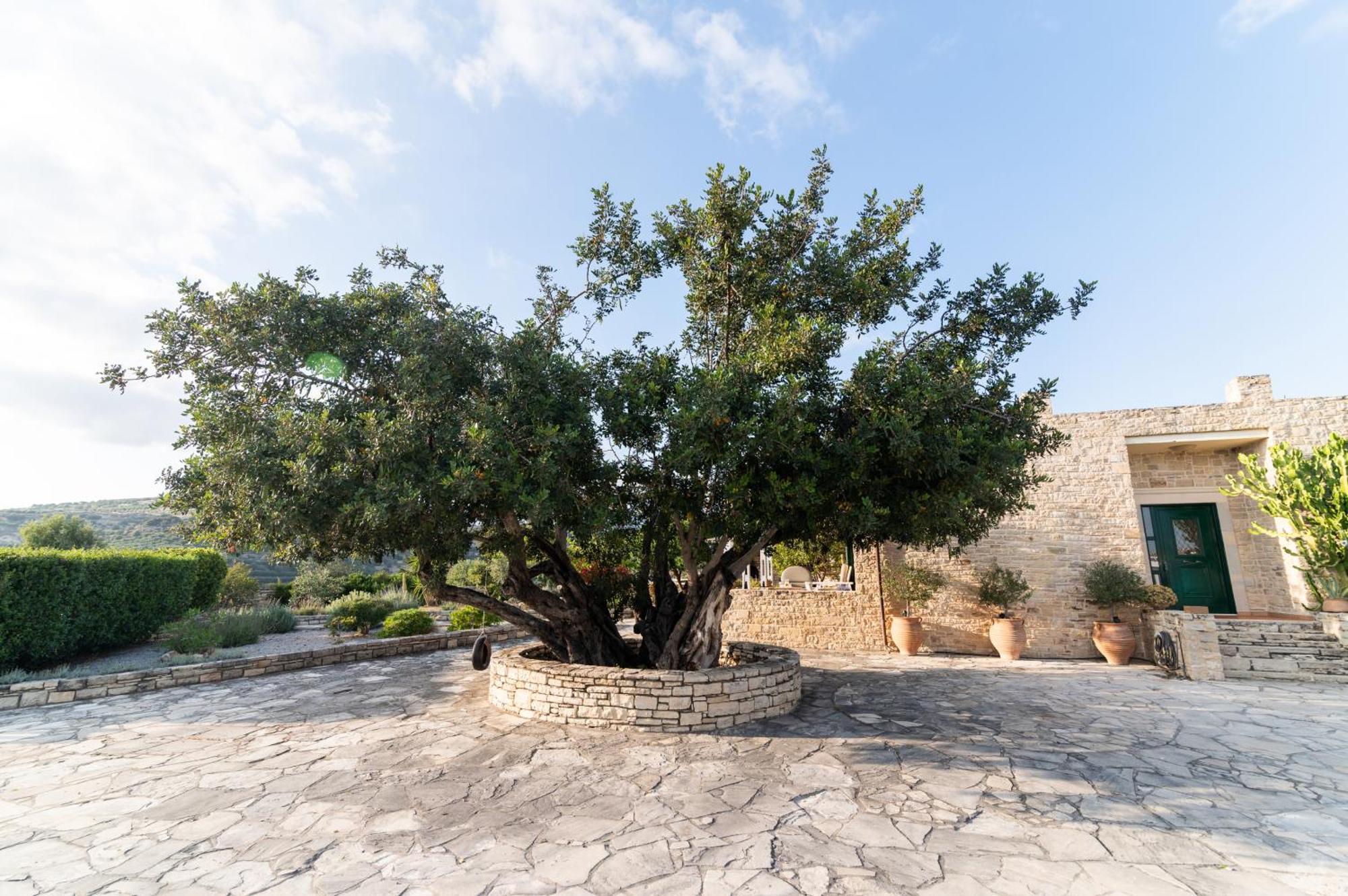 Carob Villa Moírai Екстериор снимка