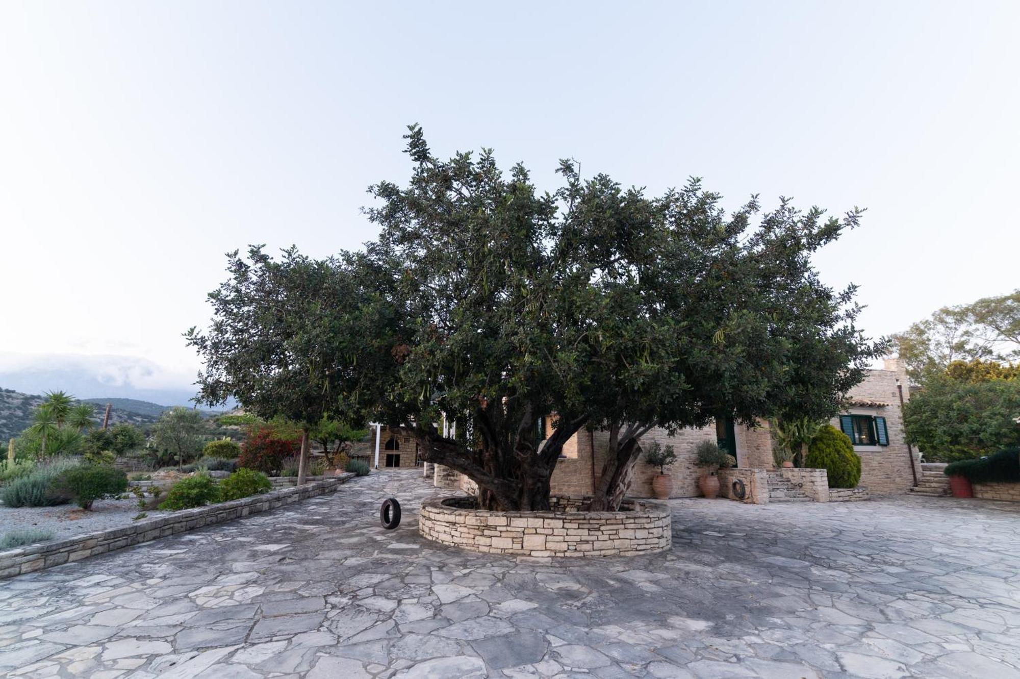 Carob Villa Moírai Екстериор снимка